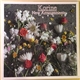 Korine - New Arrangements